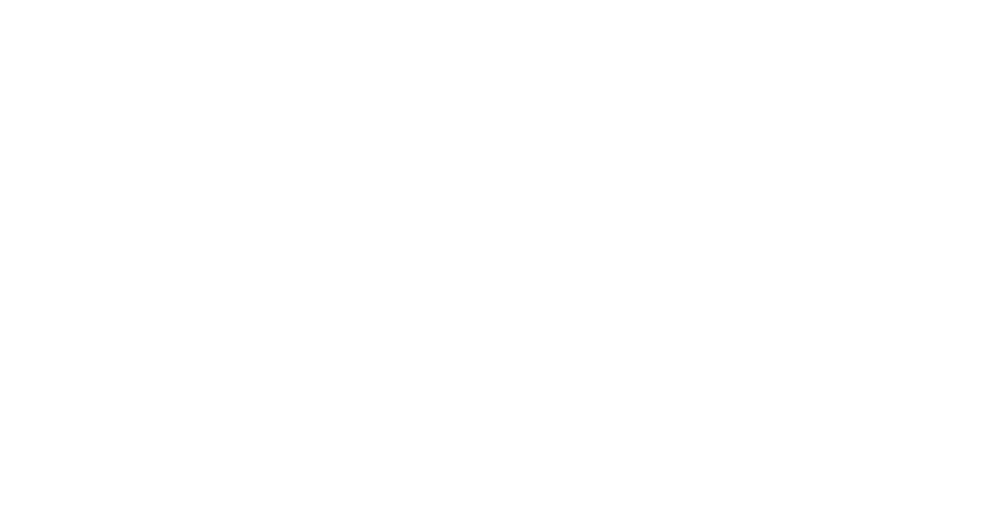 ELSA Denmark